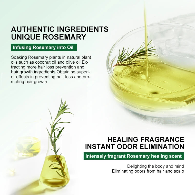 PURC Rosemary Hair Growth, Anti Hair Loss, Scalp Treatment Oil - Greycord