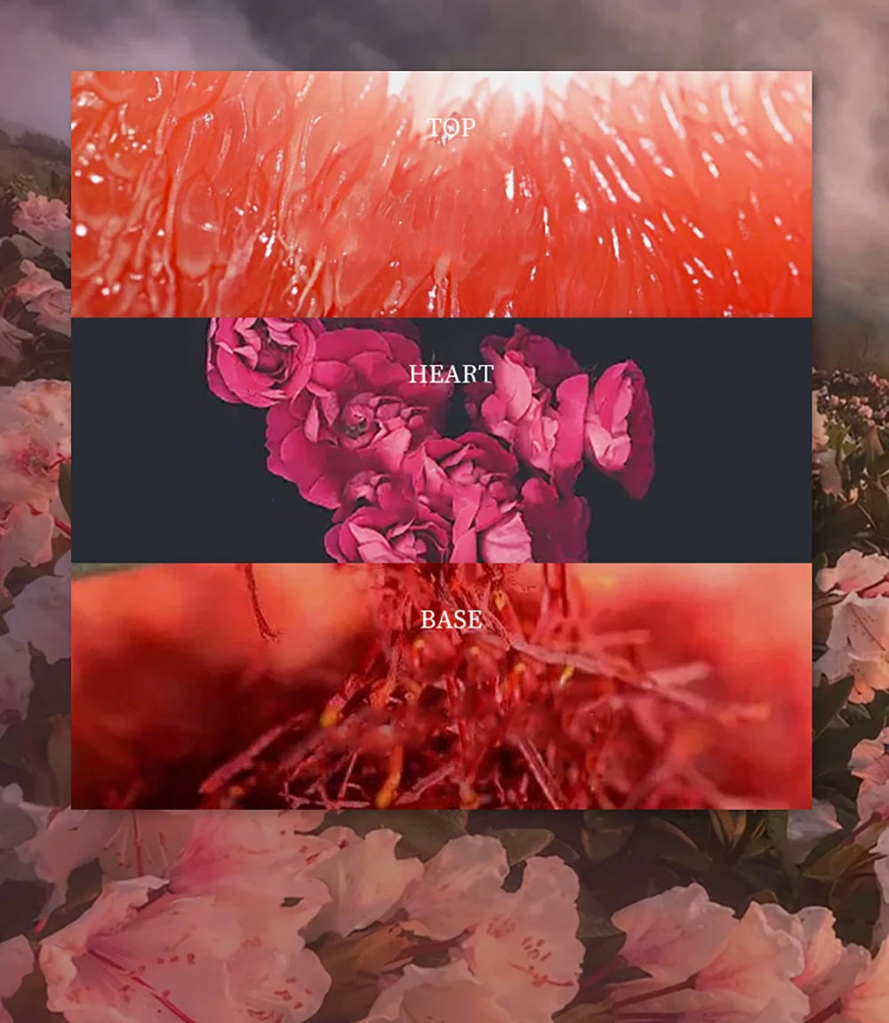 Selene Bloom – Eau de Parfum (75ML) - Greycord