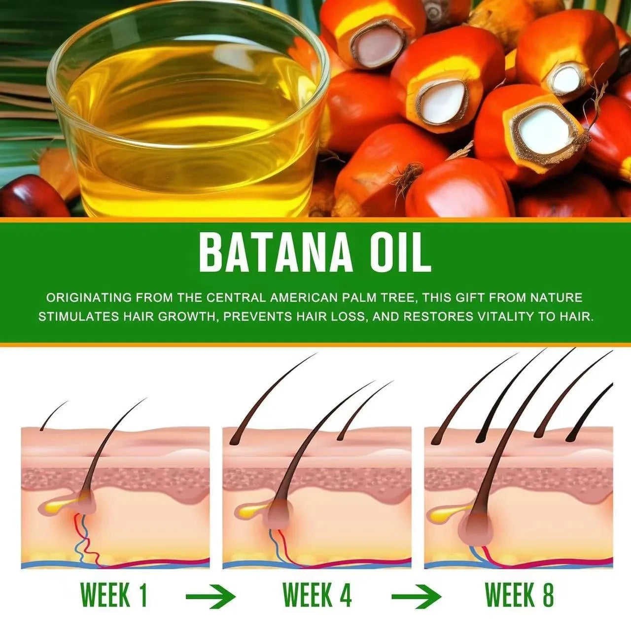 PureBatana Hair Growth Oil