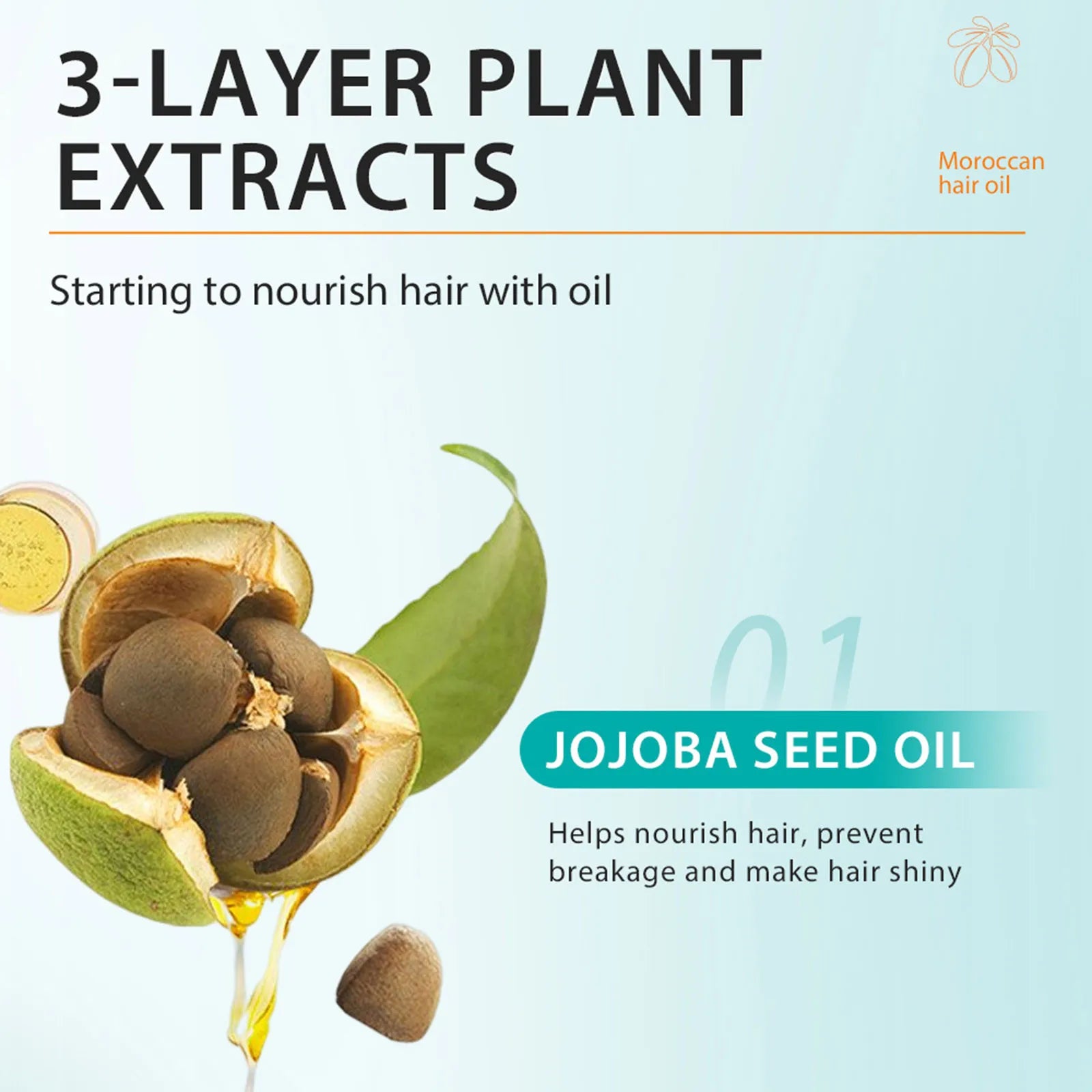 Moroccan Hair Care Oil